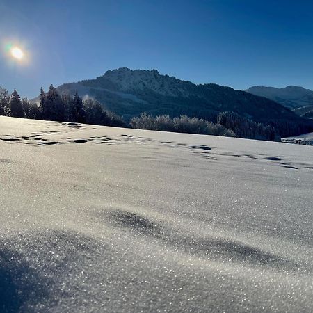 Jungholz Chalet 65 Εξωτερικό φωτογραφία
