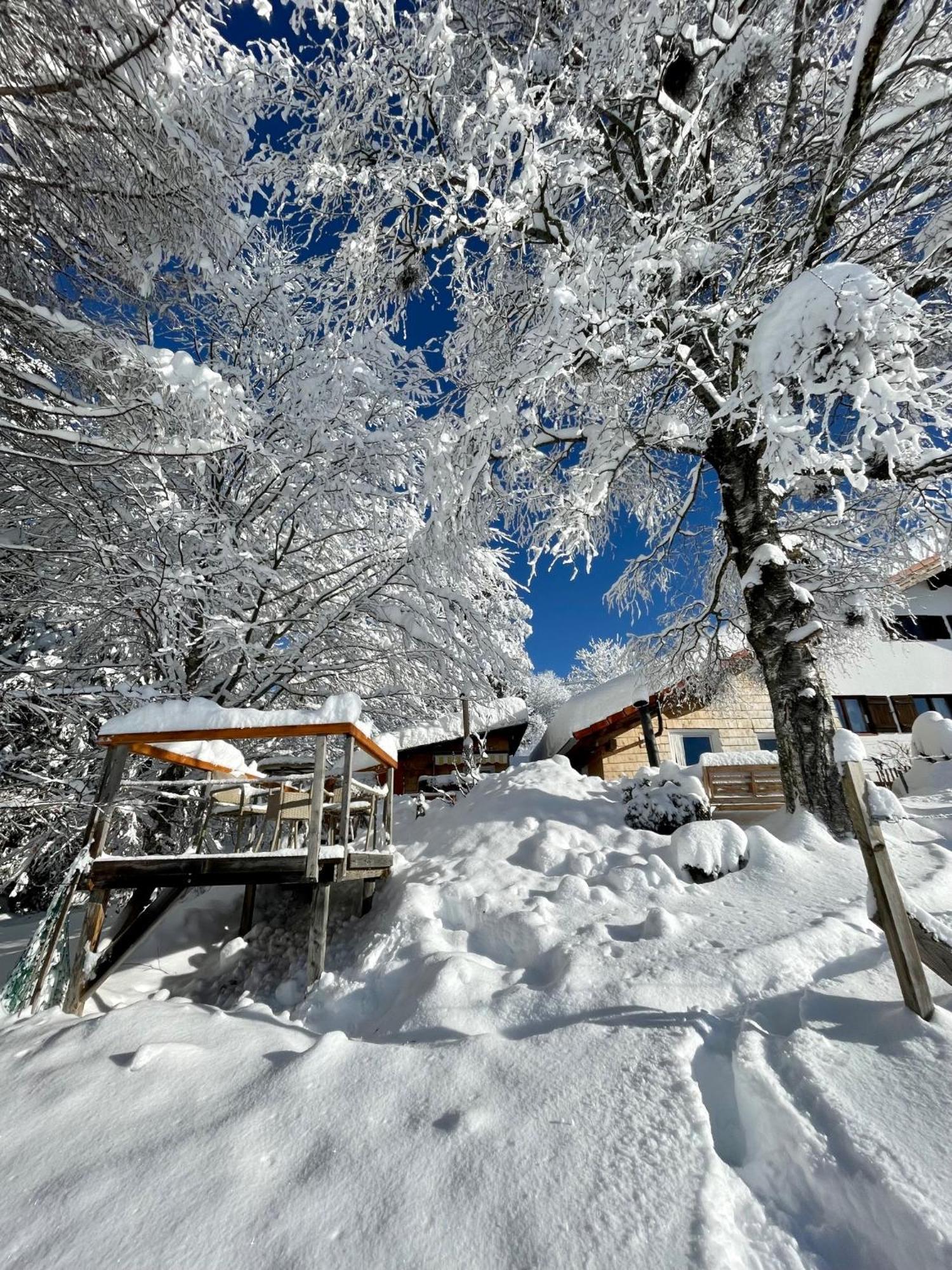 Jungholz Chalet 65 Εξωτερικό φωτογραφία